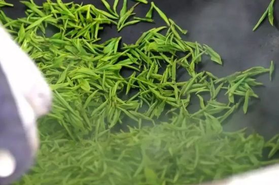 碧螺春為什么泡水渾濁，碧螺春茶葉泡水感覺很臟是混濁的