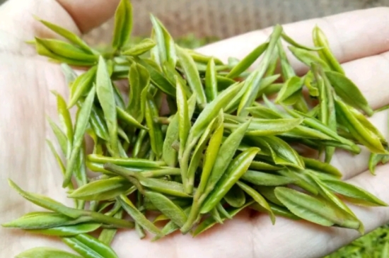 什么是雪前龍井茶，明前、雨前、雨后龍井有什么區(qū)別？