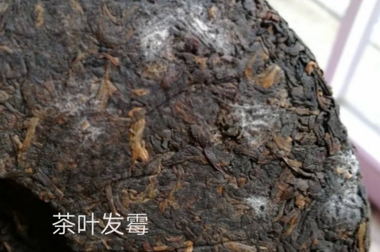 西湖龍井茶毫和發(fā)霉區(qū)別圖片，長霉的龍井茶葉會(huì)是什么樣？